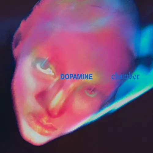 Cover of Fontaines D.C. – Dopamine Chamber
