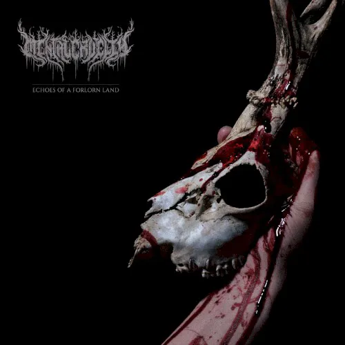 Cover of Mental Cruelty – Echoes of a Forlorn Land