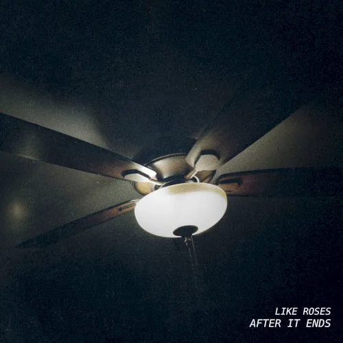Cover of Like Roses – After It Ends